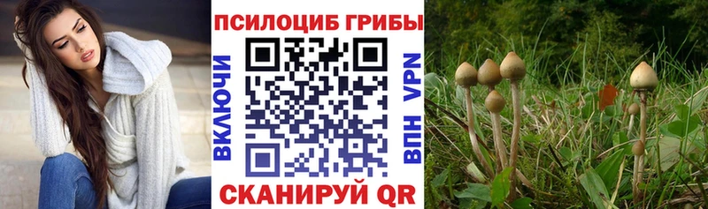 Псилоцибиновые грибы мухоморы  Чухлома 